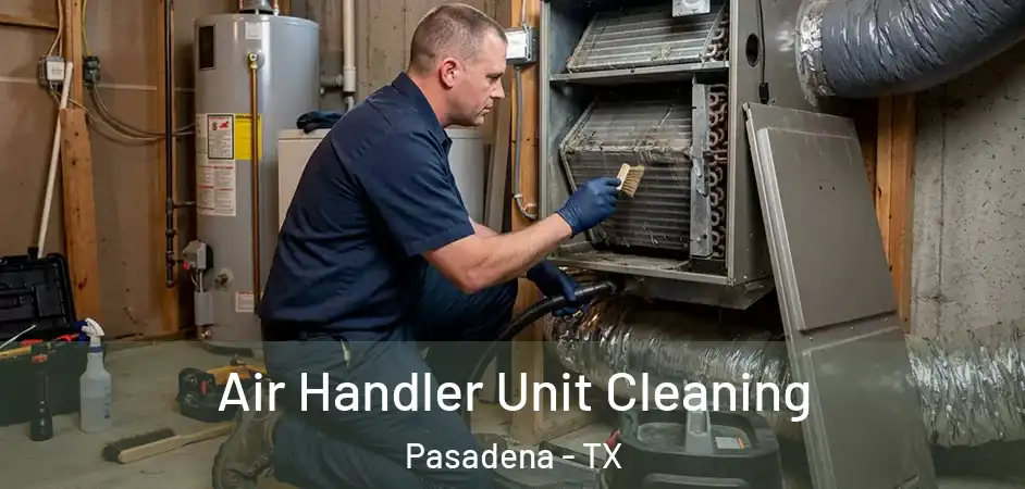 Air Handler Unit Cleaning Pasadena - TX