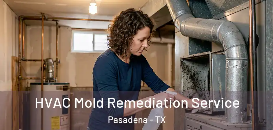 HVAC Mold Remediation Service Pasadena - TX