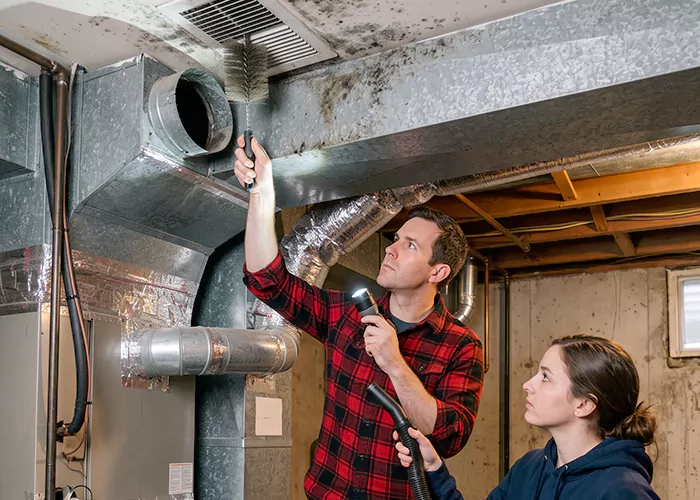 Premier HVAC Mold Remediation Company in Pasadena